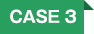 case3